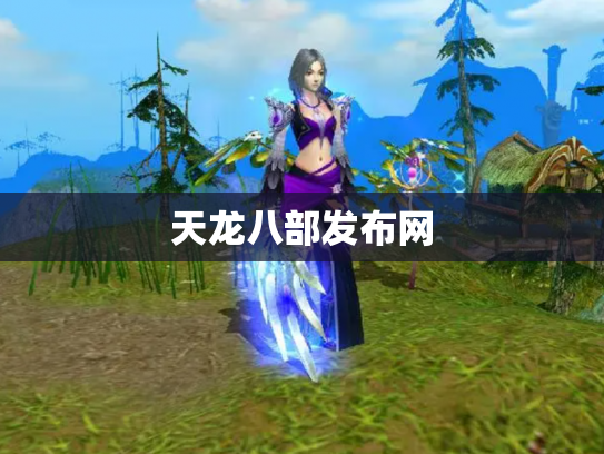 天龙八部发布网