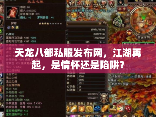天龙八部私服发布网，江湖再起，是情怀还是陷阱？