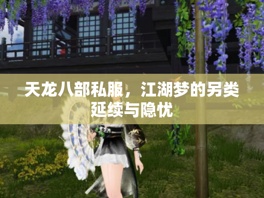 天龙八部私服，江湖梦的另类延续与隐忧