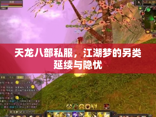 天龙八部私服，江湖梦的另类延续与隐忧