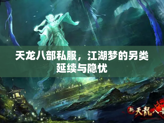 天龙八部私服，江湖梦的另类延续与隐忧
