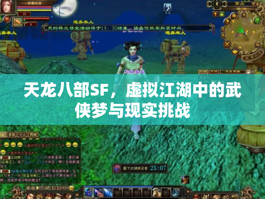天龙八部SF，虚拟江湖中的武侠梦与现实挑战
