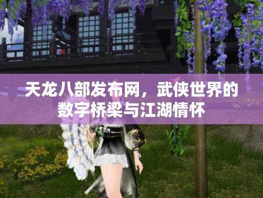 天龙八部发布网，武侠世界的数字桥梁与江湖情怀