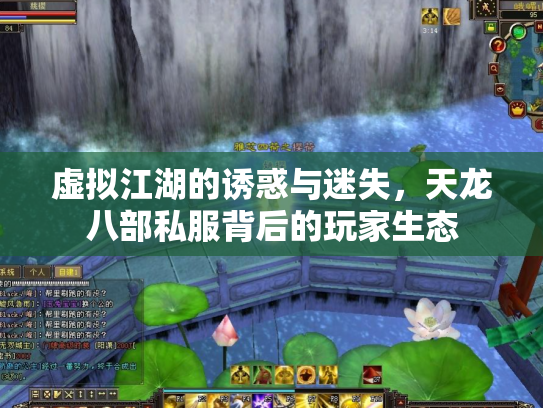 虚拟江湖的诱惑与迷失，天龙八部私服背后的玩家生态