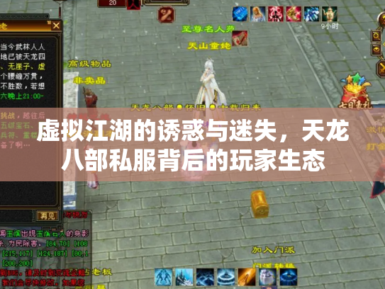 虚拟江湖的诱惑与迷失，天龙八部私服背后的玩家生态