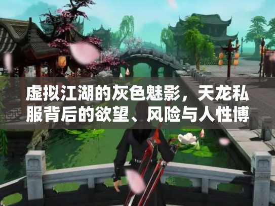 虚拟江湖的灰色魅影，天龙私服背后的欲望、风险与人性博弈