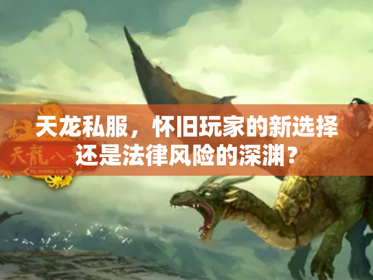 天龙私服，怀旧玩家的新选择还是法律风险的深渊？