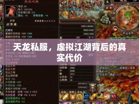 天龙私服，虚拟江湖背后的真实代价