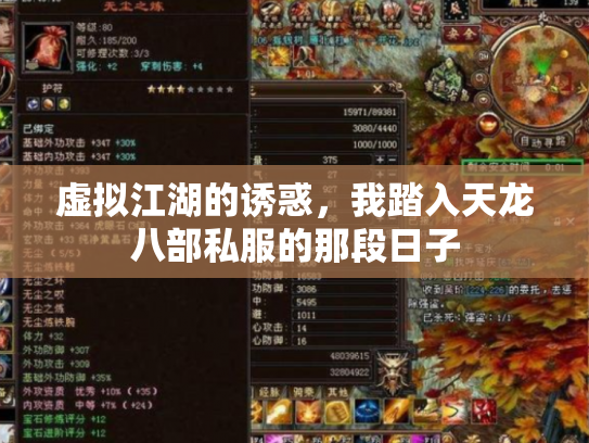 虚拟江湖的诱惑，我踏入天龙八部私服的那段日子