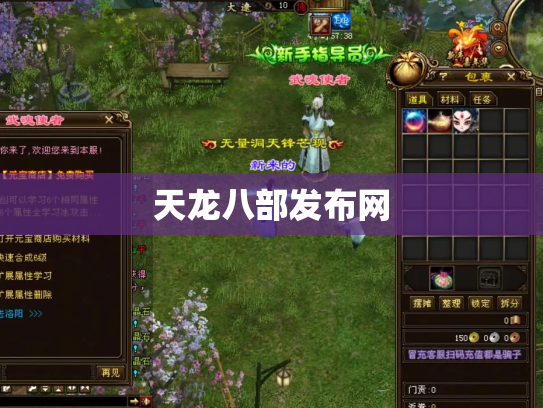 天龙八部发布网