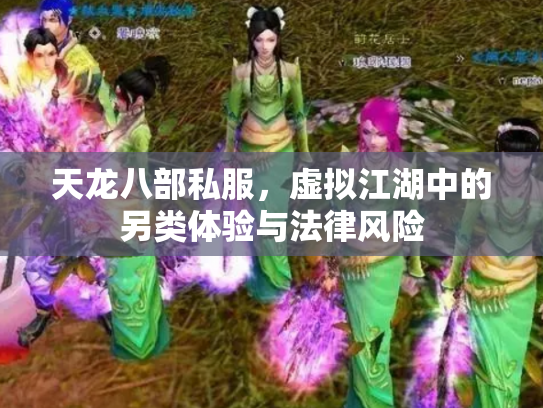 天龙八部私服，虚拟江湖中的另类体验与法律风险
