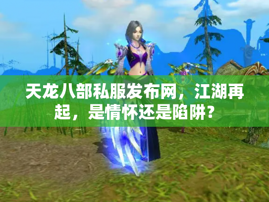 天龙八部私服发布网，江湖再起，是情怀还是陷阱？