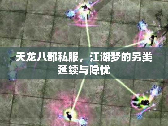 天龙八部私服，江湖梦的另类延续与隐忧