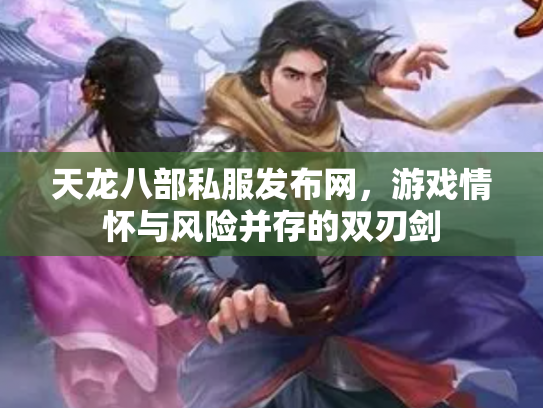 天龙八部私服发布网，游戏情怀与风险并存的双刃剑