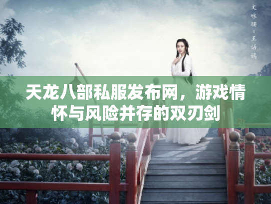 天龙八部私服发布网，游戏情怀与风险并存的双刃剑
