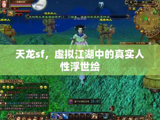 天龙sf，虚拟江湖中的真实人性浮世绘