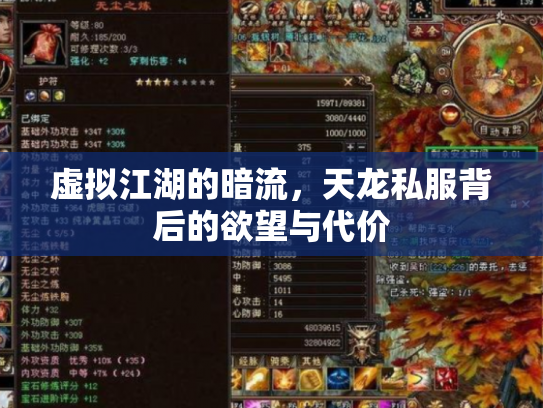 虚拟江湖的暗流，天龙私服背后的欲望与代价