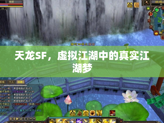 天龙SF，虚拟江湖中的真实江湖梦