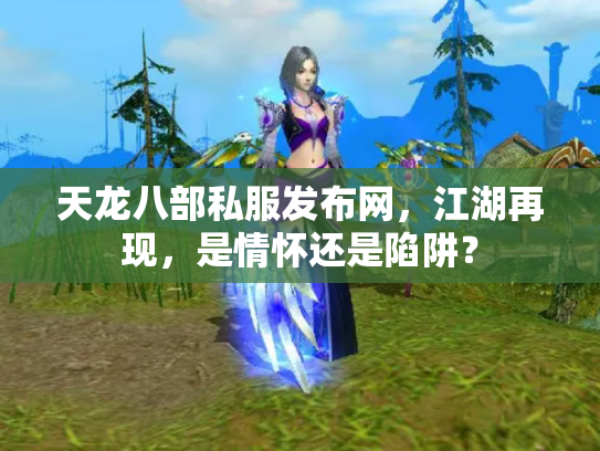 天龙八部私服发布网，江湖再现，是情怀还是陷阱？