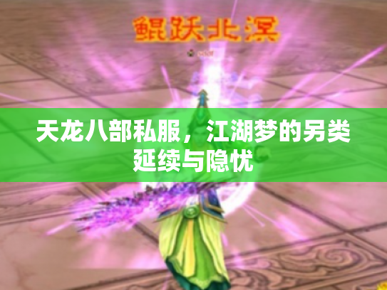 天龙八部私服，江湖梦的另类延续与隐忧