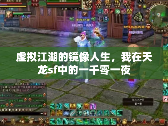 虚拟江湖的镜像人生，我在天龙sf中的一千零一夜