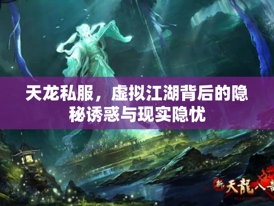 天龙私服，虚拟江湖背后的隐秘诱惑与现实隐忧