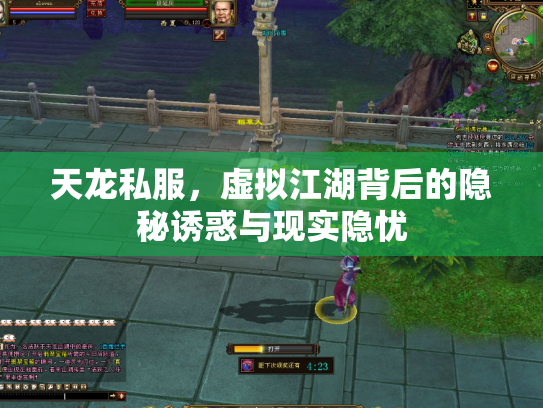 天龙私服，虚拟江湖背后的隐秘诱惑与现实隐忧