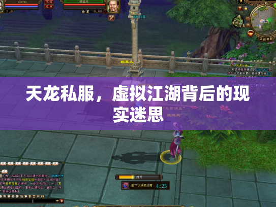 天龙私服，虚拟江湖背后的现实迷思