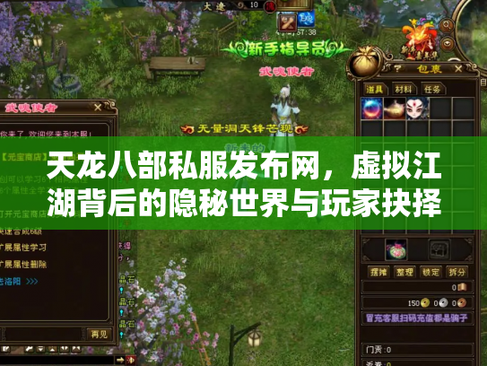 天龙八部私服发布网，虚拟江湖背后的隐秘世界与玩家抉择