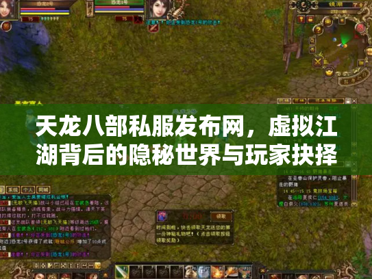 天龙八部私服发布网，虚拟江湖背后的隐秘世界与玩家抉择