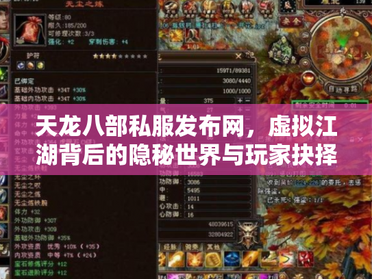 天龙八部私服发布网，虚拟江湖背后的隐秘世界与玩家抉择