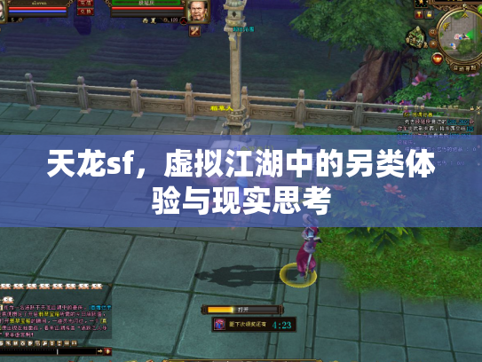 天龙sf，虚拟江湖中的另类体验与现实思考