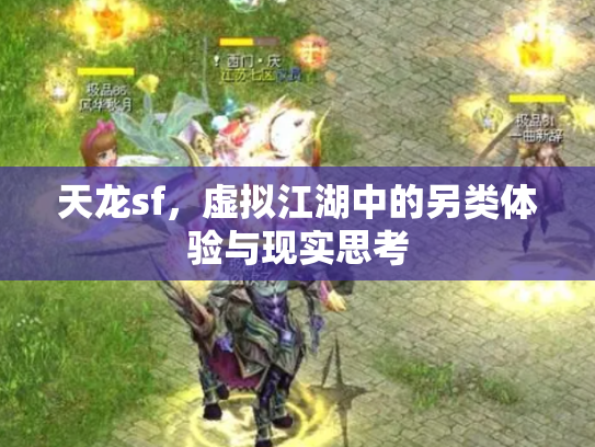 天龙sf，虚拟江湖中的另类体验与现实思考