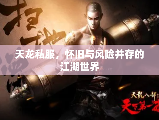 天龙私服，怀旧与风险并存的江湖世界