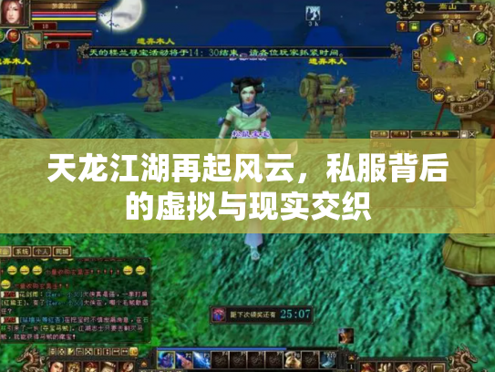 天龙江湖再起风云，私服背后的虚拟与现实交织