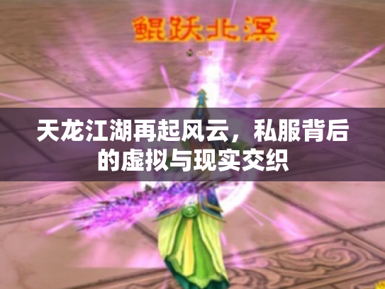 天龙江湖再起风云，私服背后的虚拟与现实交织