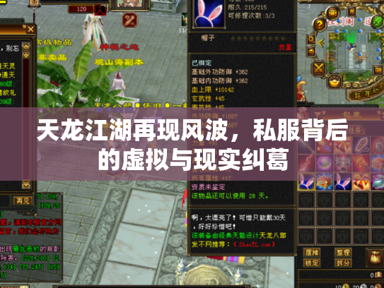 天龙江湖再现风波，私服背后的虚拟与现实纠葛