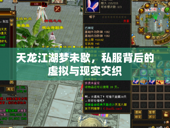 天龙江湖梦未歇，私服背后的虚拟与现实交织