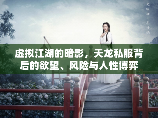 虚拟江湖的暗影，天龙私服背后的欲望、风险与人性博弈