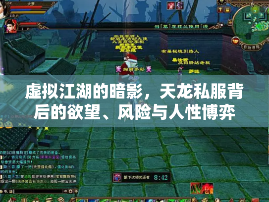 虚拟江湖的暗影，天龙私服背后的欲望、风险与人性博弈