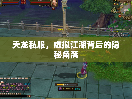天龙私服，虚拟江湖背后的隐秘角落