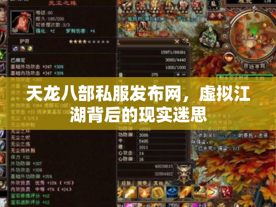 天龙八部私服发布网，虚拟江湖背后的现实迷思