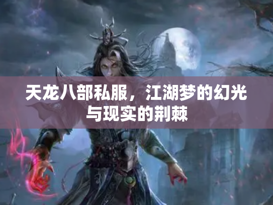 天龙八部私服，江湖梦的幻光与现实的荆棘