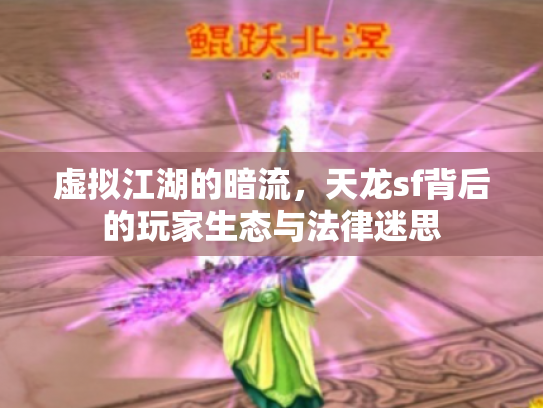 虚拟江湖的暗流，天龙sf背后的玩家生态与法律迷思