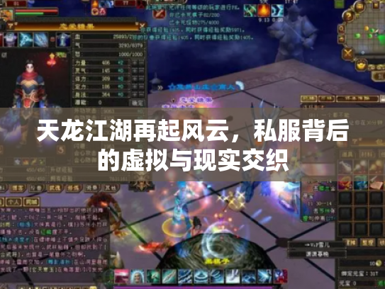 天龙江湖再起风云，私服背后的虚拟与现实交织