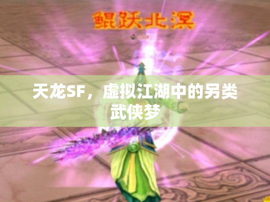 天龙SF，虚拟江湖中的另类武侠梦