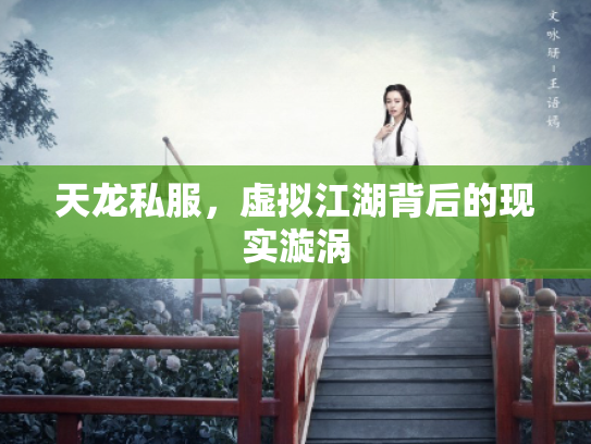 天龙私服，虚拟江湖背后的现实漩涡