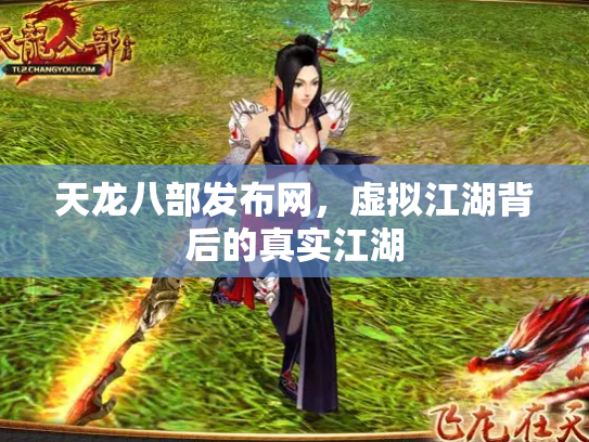 天龙八部发布网，虚拟江湖背后的真实江湖