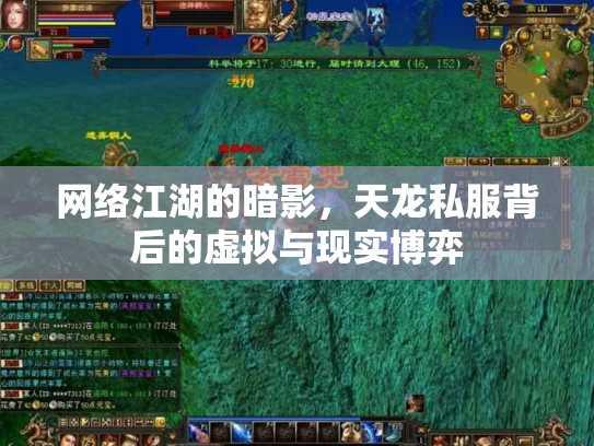 网络江湖的暗影，天龙私服背后的虚拟与现实博弈