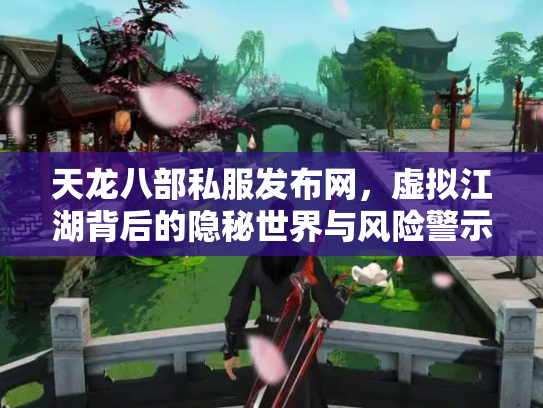 天龙八部私服发布网，虚拟江湖背后的隐秘世界与风险警示